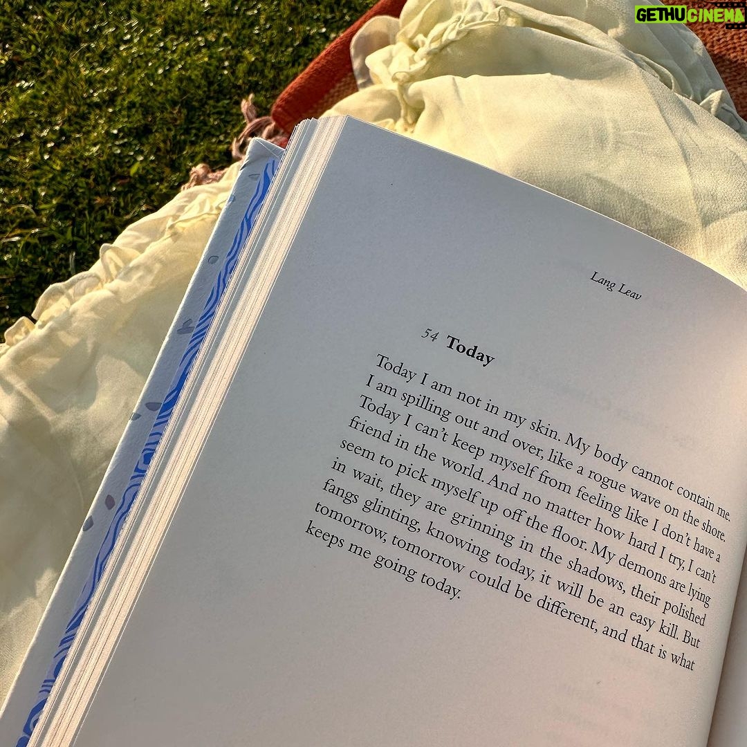 Avneet Kaur Instagram - Some of my favs from a book I’m currently reading….📖🌻💕🌄✨