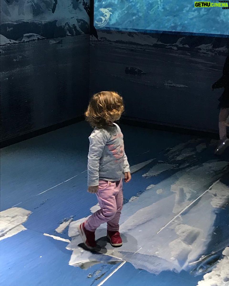 Ayça Bingöl Instagram - AYLİN in wonderland...🎈