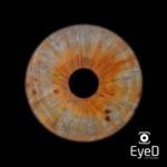 Ayça Bingöl Instagram - İrisim... etkileyici bir çalışma oldu, teşekkür ederim @eyedirisphotography