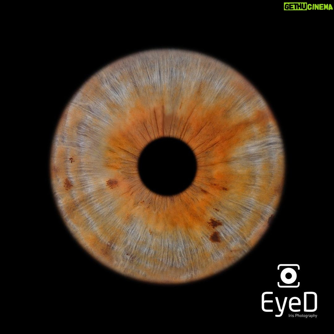Ayça Bingöl Instagram - İrisim... etkileyici bir çalışma oldu, teşekkür ederim @eyedirisphotography