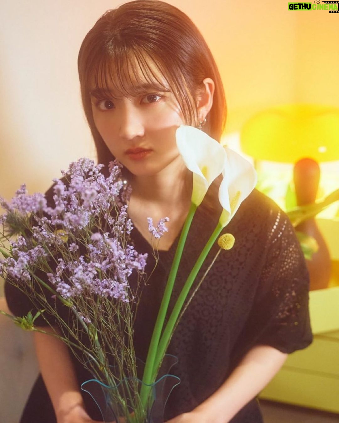 Aya Yamane Instagram - 『踊り子』/Vaundyさま カバー動画公開💐 みなさま是非ご覧ください❤︎ #声優 #歌ってみた #cover #踊り子 #Vaundy さま #youtube #yayarecords