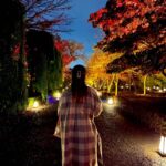 Aya Yamane Instagram – 🍁✨
#京都 #kyoto #清水寺 #下鴨神社 #二条城 #二条城ライトアップ #kiyomizudera