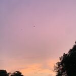 Ayesha Kaduskar Instagram - skyfall (no filter, minutes apart)