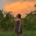 Ayesha Kaduskar Instagram - moments with a little magic ✨ 1. colour coordinating with the sky 2. a rainbow on Moe’s bum– I think we can all agree he’s officially an angel 3. baba’s favourite pineapple cake 4. i have a love-hate relationship with the feeling of sand in my feet. however, this picture was taken after an unforgettable evening of playing aerobie on the beach 5. two parrots (presumably in love), swinging on a cable- under the moon’s gaze 6. keep going, keep finding the magic