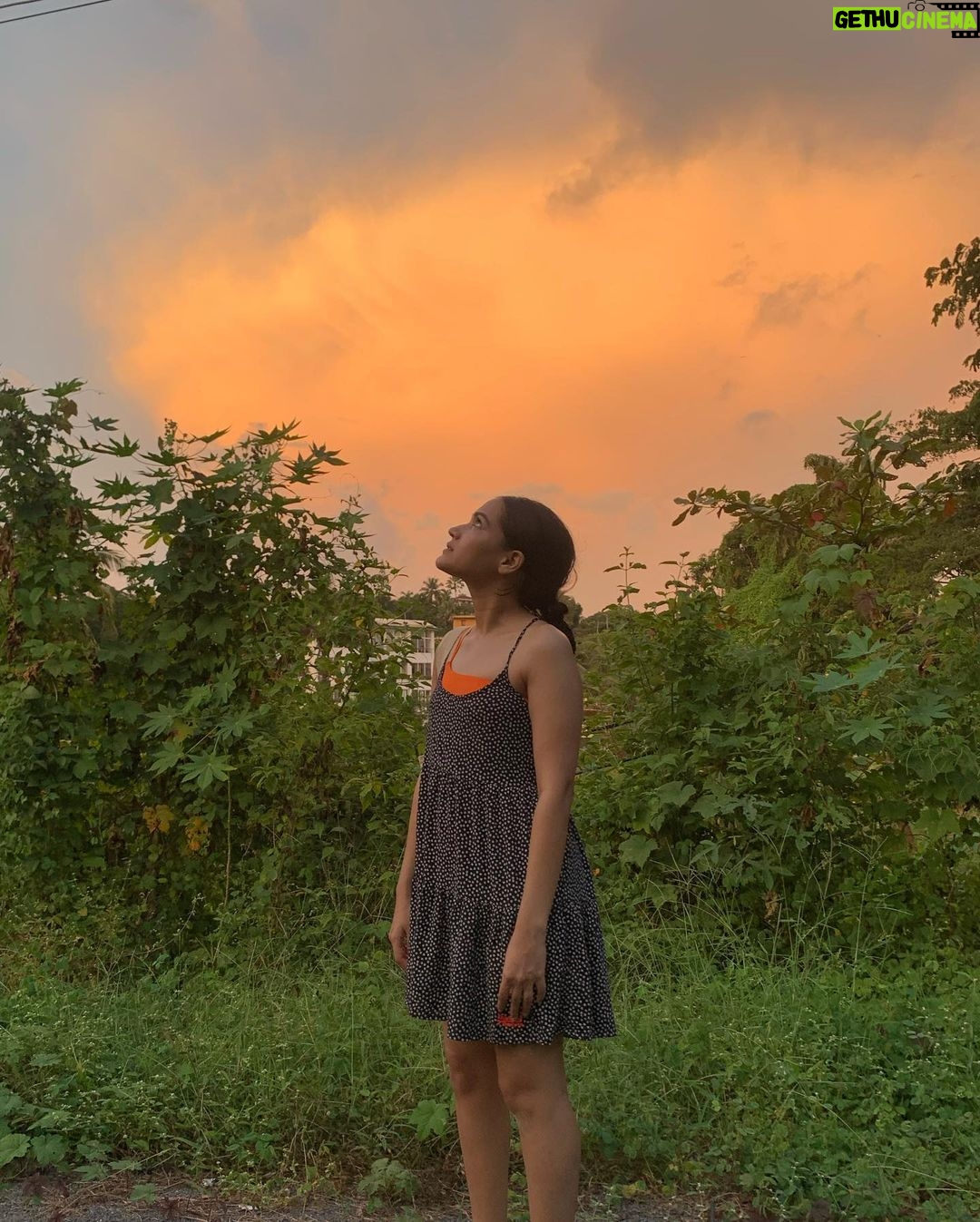 Ayesha Kaduskar Instagram - moments with a little magic ✨ 1. colour coordinating with the sky 2. a rainbow on Moe’s bum– I think we can all agree he’s officially an angel 3. baba’s favourite pineapple cake 4. i have a love-hate relationship with the feeling of sand in my feet. however, this picture was taken after an unforgettable evening of playing aerobie on the beach 5. two parrots (presumably in love), swinging on a cable- under the moon’s gaze 6. keep going, keep finding the magic