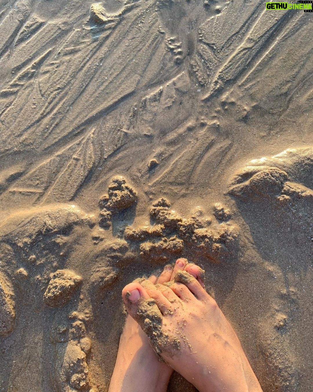 Ayesha Kaduskar Instagram - moments with a little magic ✨ 1. colour coordinating with the sky 2. a rainbow on Moe’s bum– I think we can all agree he’s officially an angel 3. baba’s favourite pineapple cake 4. i have a love-hate relationship with the feeling of sand in my feet. however, this picture was taken after an unforgettable evening of playing aerobie on the beach 5. two parrots (presumably in love), swinging on a cable- under the moon’s gaze 6. keep going, keep finding the magic
