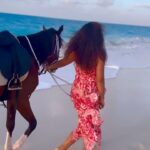 Ayten Amer Instagram - 🐎 #ايتن_عامر #aytenamer #ayten3amer Marina 5