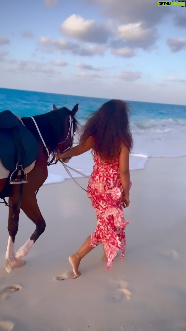 Ayten Amer Instagram - 🐎 #ايتن_عامر #aytenamer #ayten3amer Marina 5