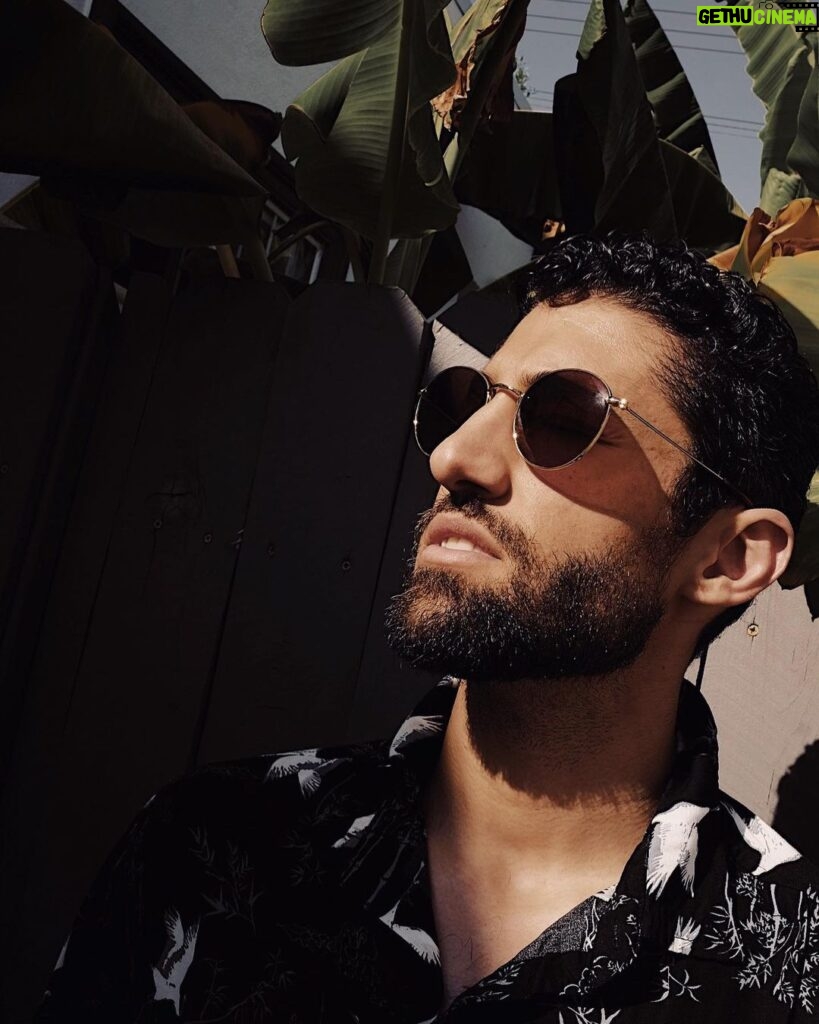 Azim Rizk Instagram - Lookin into the week like... dang it’s bright! Sending everyone lots of love and a reminder to keep moving forward no matter how slow you go. Sometimes life feels stagnant and it can be frustrating, but remember that everyone goes through it and it will pass. Every small step counts! . . . . . . . . . . #madewell #sunglasses #mondaymotivation #losangeles #goodvibes #keepmovingforward #staypositive #becreative #spreadlove #gooutside #hangwithfriends #laugh #cry #beeasyonyourself #youvegotthis 📸 @thndrbolt