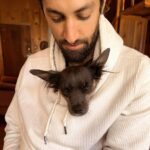 Azim Rizk Instagram – Sleepy mouse wolf kangaroo dragon dog aka Silas, in his happy place!
.
.
.
.
.
.
.
#myheart #adoptdontshop #mouse #wolf #bigears #love #dogsofinstagram #puppylove