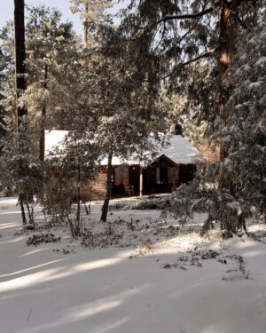 Azim Rizk Instagram - At peace at @eastwicksociety 
.
.
.
.
.
.
.
#cabin #cabinlife #dogsofinsta #snow #love #peace #snuggles #renovation #1930s #1920s