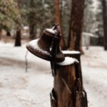 Azim Rizk Instagram - At peace at @eastwicksociety . . . . . . . #cabin #cabinlife #dogsofinsta #snow #love #peace #snuggles #renovation #1930s #1920s