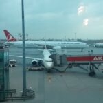Aziz Kedi Instagram – olmaktan en çok korktuğum yerdeyim. @evrenturan bana hemen çok süper şeyler söyle lütfen.