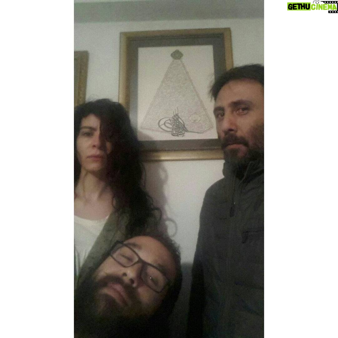 Aziz Kedi Instagram - @demir_ece'nin duvarında asılı tarihi belgeyi 'üçüncü selim'in uzaylılarca kaçırılışı' olarak nitelendiren egemen'e kucak dolusu sevgiler.