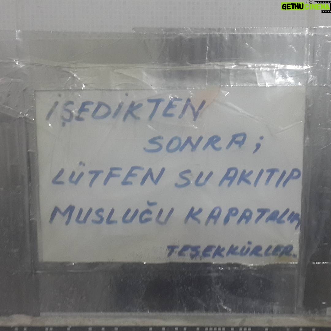Aziz Kedi Instagram - 'burası kafe değil, bistro değil, burası meyhane kardeşim' uyarısı.