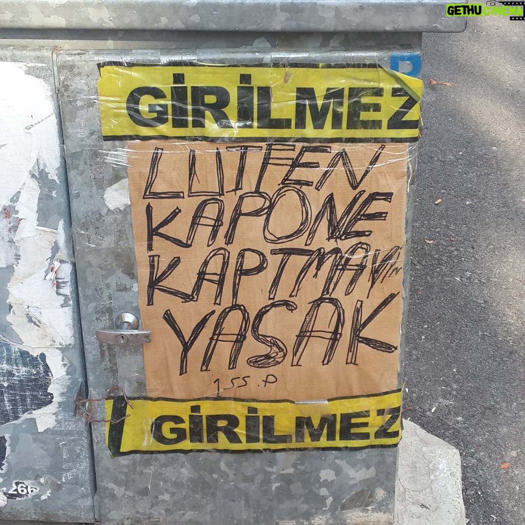Aziz Kedi Instagram - legalize kapone kaptmak!