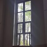 Aziz Kedi Instagram – canım biraz pencereyi açar mısın? sağol canım.