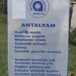 Aziz Kedi Instagram - vahe kılıçarslan'dan sonra şiir yazmak barbarlıktır diye düşünüyordum, yanılmışım. genelde güzeldir antalya.