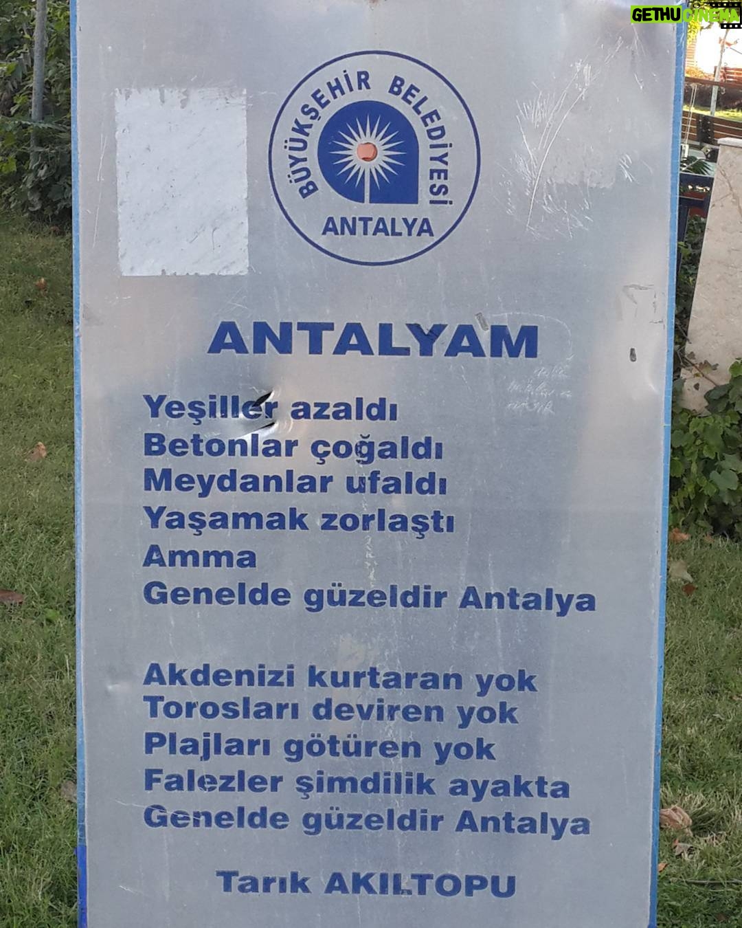 Aziz Kedi Instagram - vahe kılıçarslan'dan sonra şiir yazmak barbarlıktır diye düşünüyordum, yanılmışım. genelde güzeldir antalya.
