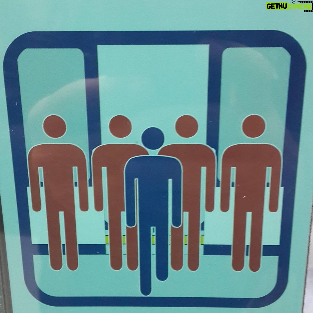 Aziz Kedi Instagram - metroda boyband kurmak yasaktır (hele lacivert taytla zinhar)