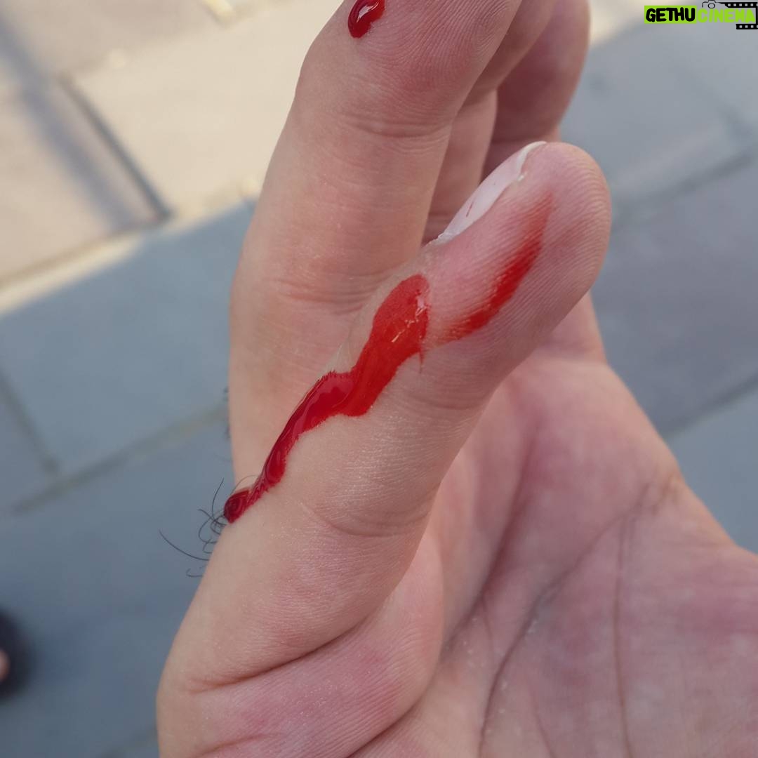 Aziz Kedi Instagram - vietnam'dayken elimin altında bir milyon dolarlık ekipman vardı, lanet bir helikopter kullanıyordum albayım! ama burada neyim biliyor musun? koca bir hiç! bu benim savaşım değildi. bu benim savaşım değildi!