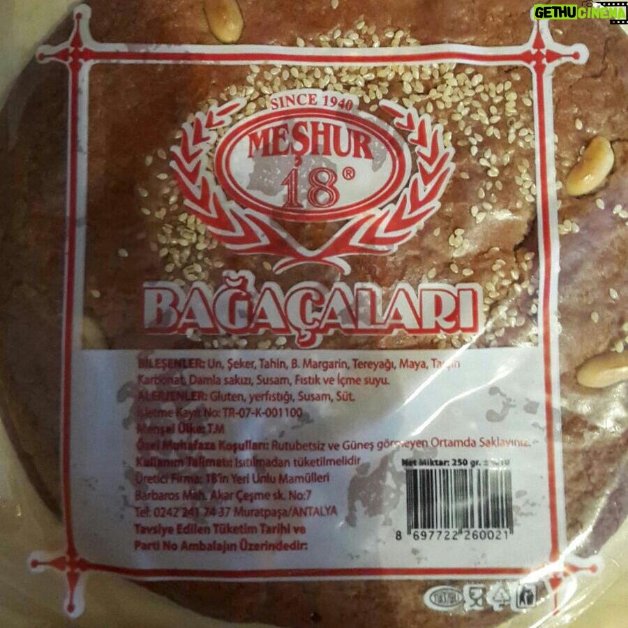 Aziz Kedi Instagram - poça, boça, pohça, pohaça, puvaço, povaça ve bohaçadan sonra huzurlarınızda!