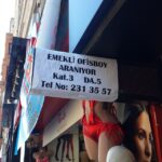 Aziz Kedi Instagram - ney?