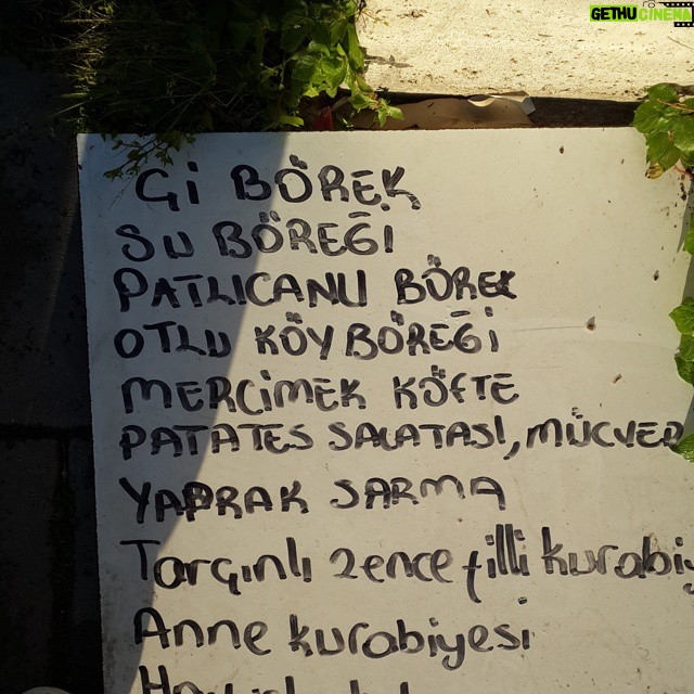 Aziz Kedi Instagram - çi börekten ziyade, izmir otogarı'nda bildiğin kontrol kulesi var. buraya uçarak inen otobüslere selam olsun.