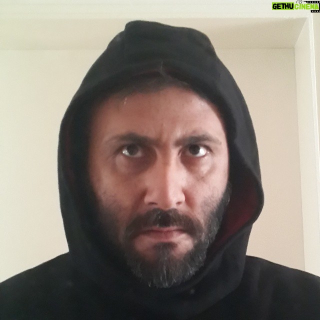 Aziz Kedi Instagram - bunlar soğuğa karşı olan hislerim.