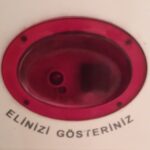 Aziz Kedi Instagram - sanıyorum mevlana'dan.