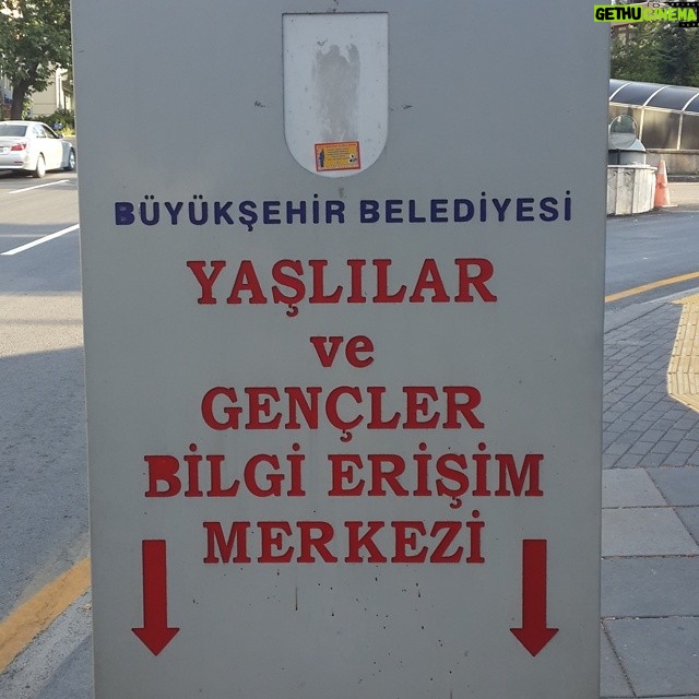 Aziz Kedi Instagram - to the hell with orta yaşlılar!