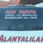 Aziz Kedi Instagram - Günaydın. İSTANBULDAN’dan iyi haberlerinizi bekliyoruz 🌿
