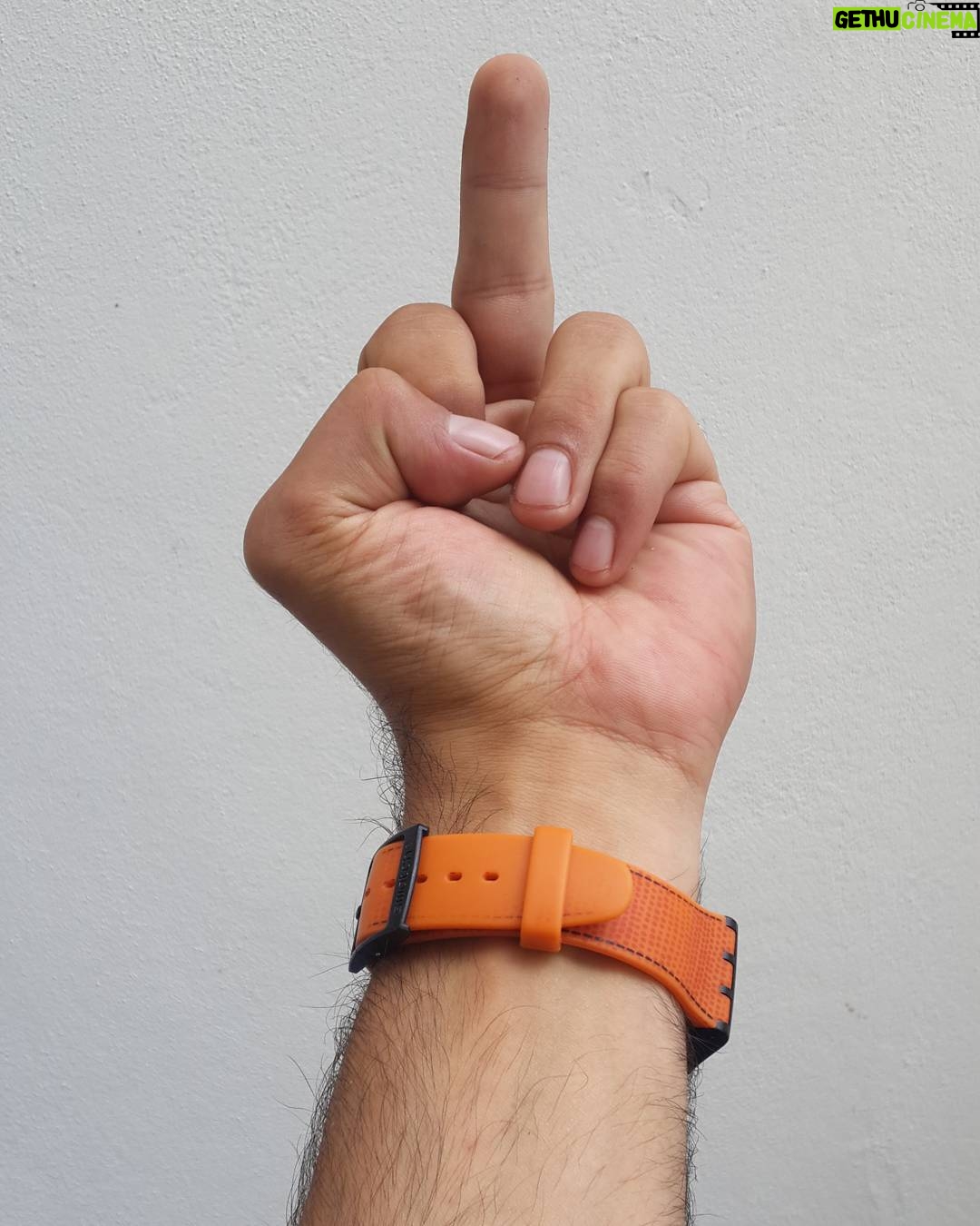Aziz Kedi Instagram - dünya solaklar gününüz kutlu olsun / happy #lefthandersday 😈