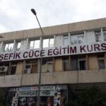 Aziz Kedi Instagram - :(((
