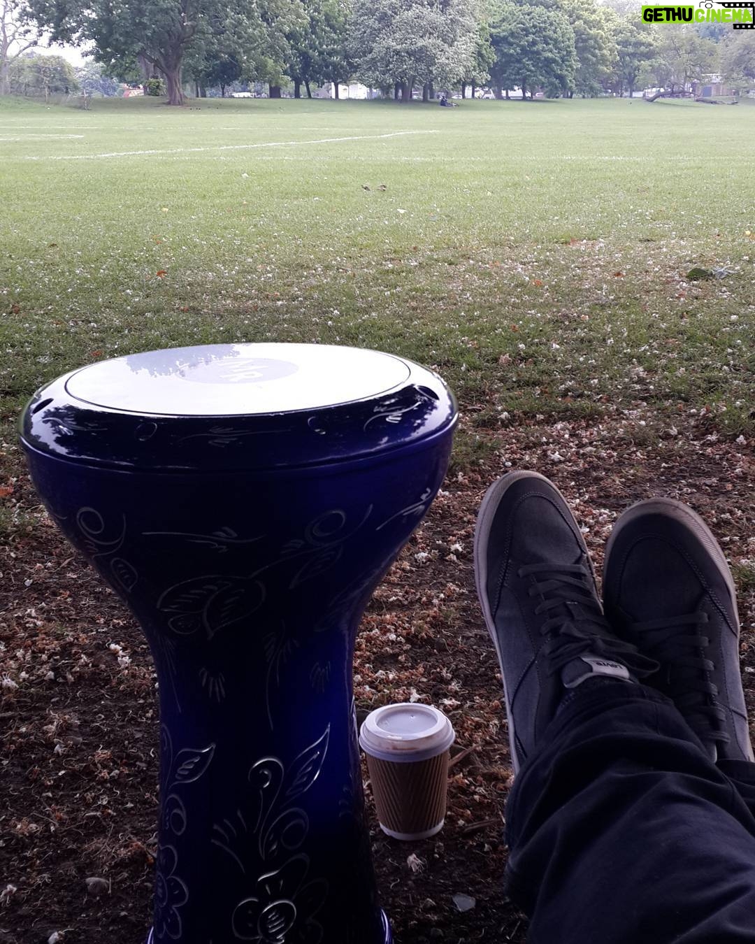 Aziz Kedi Instagram - canım evet... evet ofisteyim. hı hı yoğunluk evet sorma. tamam canım. tabii cümlemize. evet proje sunumu hm hm. Clissold Park