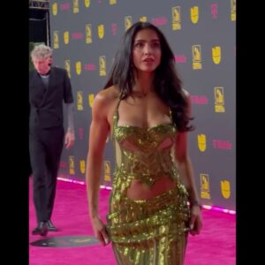 Bárbara de Regil Instagram - Premios lo nuestro ✨ Que noche tan mágica ✨ Maquillaje y Peinado : YO ❤️ Stylist: @palomaduluc Dress: @juancarloscollazocouturier El team : @vix @univision @premioslonuestrotv @markatalent @joseinla Miami, Florida