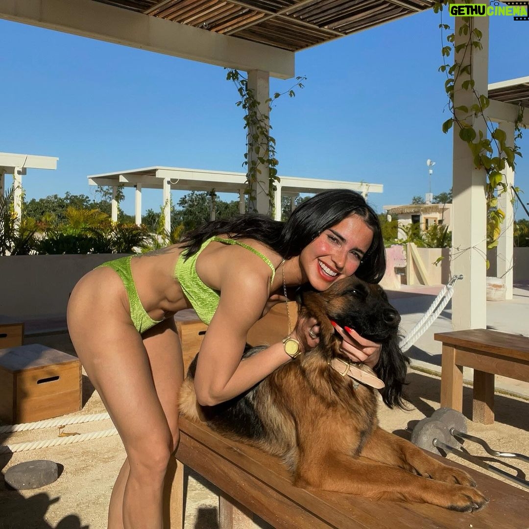 Bárbara de Regil Instagram - Un poco de mis días en mi nuevo depa en Tulum @cocay.tulum La mejor inversión que hice el 2023 por que justo este mes ya lo renté 2 veces !!!!!! Que bonitooooooooo☀️🌈🐚🦀 Tulum Beach