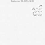 Babak Hamidian Instagram -