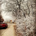 Babben Larsson Instagram – Krispig morgon.