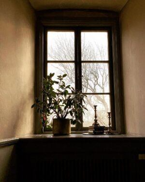 Babben Larsson Instagram - Wiks slott. Fint.
