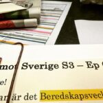 Babben Larsson Instagram -