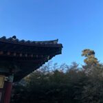 Bae Hyun-jin Instagram - 서울 봉은사 원명 주지 스님께 세배 하러 다녀왔습니다. 봉은사 침수쌍화차로 셋이 오붓하게 분위기도 잡고 큰 스님께 마음이 맑고 따뜻해지는 격려 말씀도 듣고 왔어요 고맙습니다.♡♡♡ #박정훈 #김성용 #배현진 그리고 겸댕이 #천수🐶
