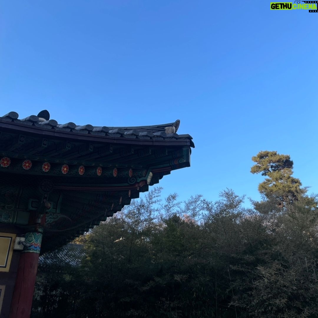 Bae Hyun-jin - 1.7K Likes - 서울 봉은사 원명 주지 스님께 세배 하러 다녀왔습니다.
봉은사 침수쌍화차로 셋이 오붓하게 분위기도 잡고
큰 스님께
마음이 맑고 따뜻해지는 격려 말씀도 듣고 왔어요
고맙습니다.♡♡♡
#박정훈 #김성용 #배현진 그리고 겸댕이 #천수🐶