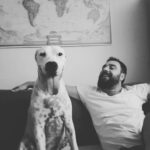 Bahtiyar Memili Instagram – #maça krall
Aslanım