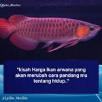 Baim Wong Instagram - Paksa untuk baca ! Jangan scrool kebawah dulu 🙏😊 Semoga bisa membantu kalian ❤️