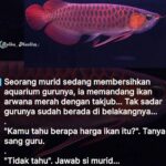 Baim Wong Instagram - Paksa untuk baca ! Jangan scrool kebawah dulu 🙏😊 Semoga bisa membantu kalian ❤️