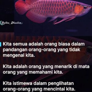 Baim Wong Instagram - Paksa untuk baca ! 
Jangan scrool kebawah dulu 🙏😊

Semoga bisa membantu kalian ❤️