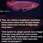 Baim Wong Instagram - Paksa untuk baca ! Jangan scrool kebawah dulu 🙏😊 Semoga bisa membantu kalian ❤️