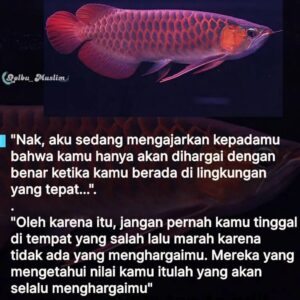 Baim Wong Instagram - Paksa untuk baca ! 
Jangan scrool kebawah dulu 🙏😊

Semoga bisa membantu kalian ❤️