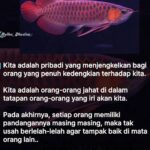 Baim Wong Instagram - Paksa untuk baca ! Jangan scrool kebawah dulu 🙏😊 Semoga bisa membantu kalian ❤️